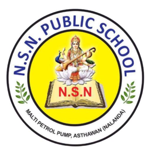 N.S.N Public School